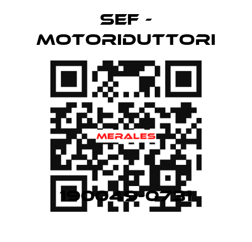 190049-0731 SEF - MOTORIDUTTORI