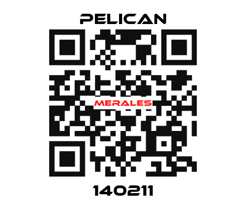 140211 Pelican