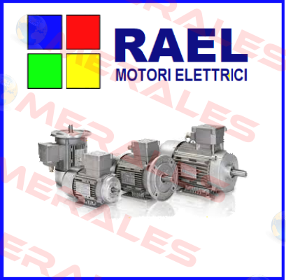 RL SIC. INCREASED RAEL MOTORI ELETTRICI