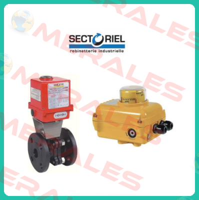 VALV TIPO 180 C/ ACTUADOR RECADA DN 80 Sectoriel