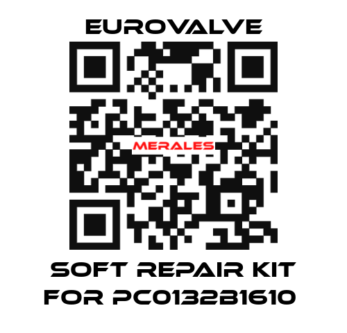 SOFT REPAIR KIT FOR PC0132B1610  Eurovalve