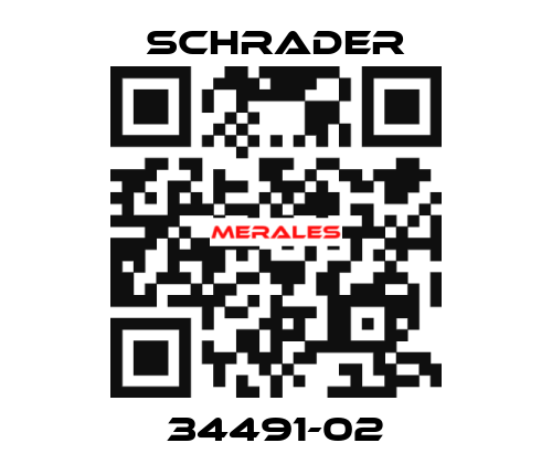 34491-02 Schrader