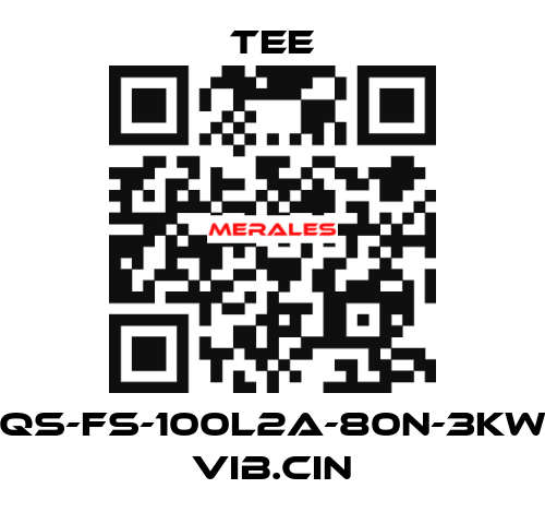 QS-FS-100L2A-80N-3KW VIB.CIN TEE