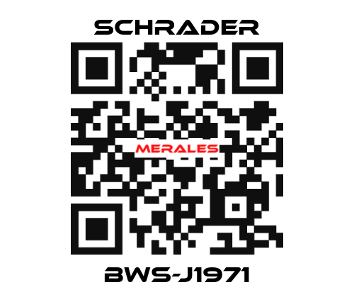 BWS-J1971 Schrader