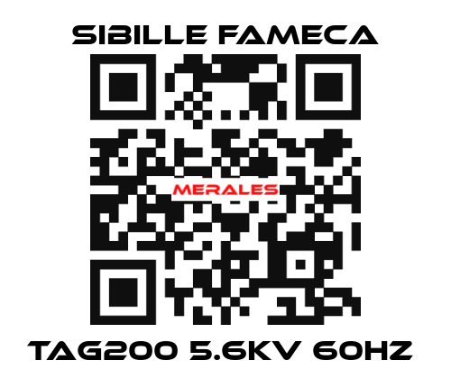 TAG200 5.6KV 60HZ  Sibille Fameca