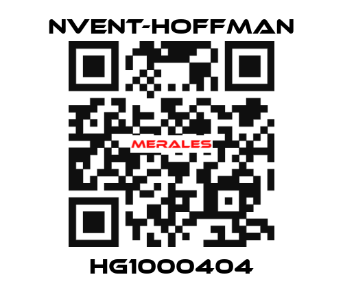 HG1000404 nVent-Hoffman