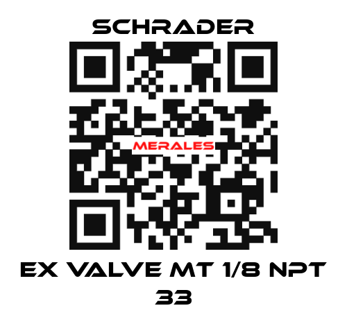 EX VALVE MT 1/8 NPT 33 Schrader