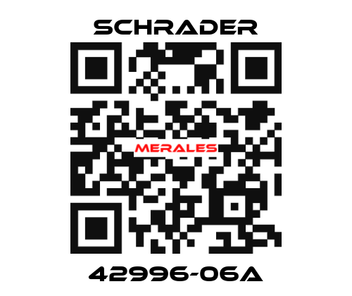 42996-06A Schrader