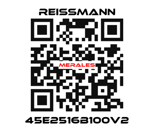 45E2516B100V2 Reissmann