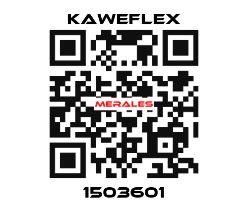 1503601 Kaweflex