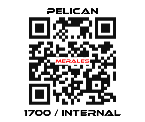 1700 / Internal Pelican