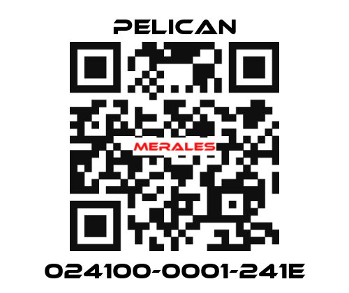 024100-0001-241E Pelican