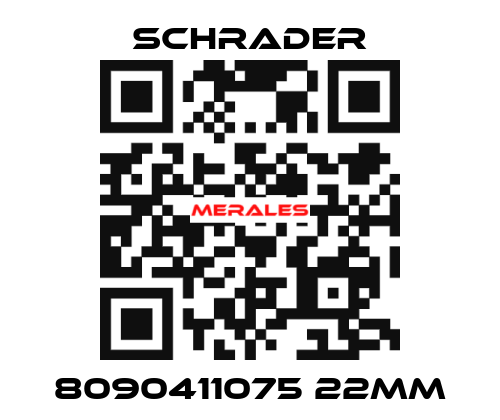 8090411075 22mm Schrader