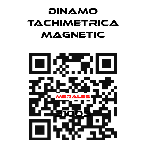 31003 Dinamo Tachimetrica Magnetic