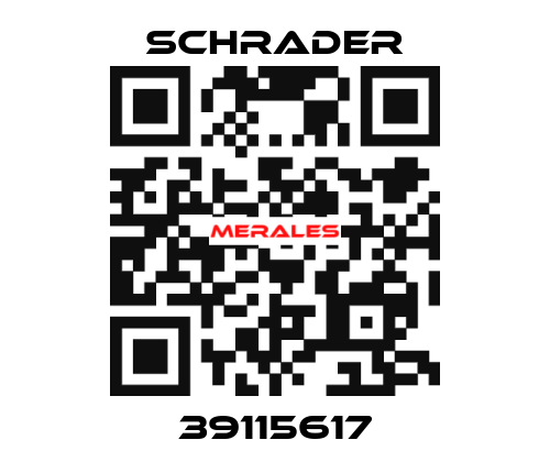 39115617 Schrader