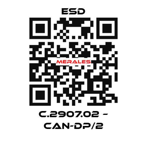 C.2907.02 – CAN-DP/2 ESD