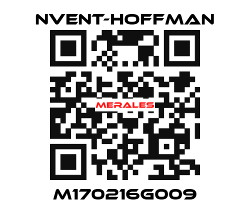 M170216G009 nVent-Hoffman