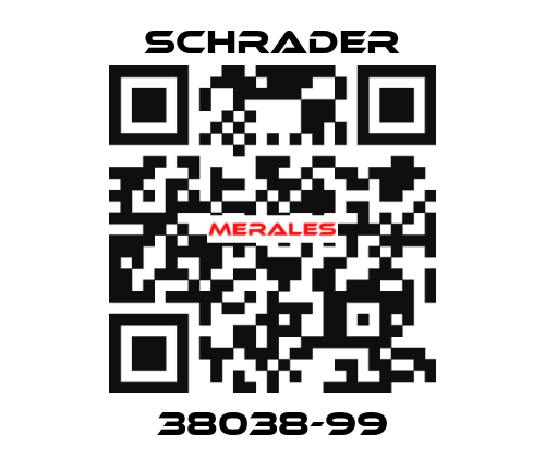 38038-99 Schrader