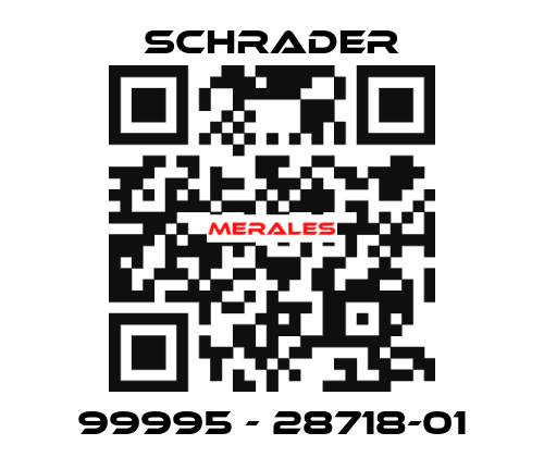 99995 - 28718-01 Schrader