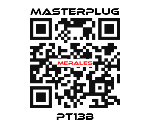 PT13B Masterplug