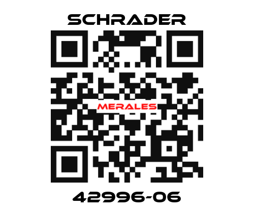 42996-06 Schrader