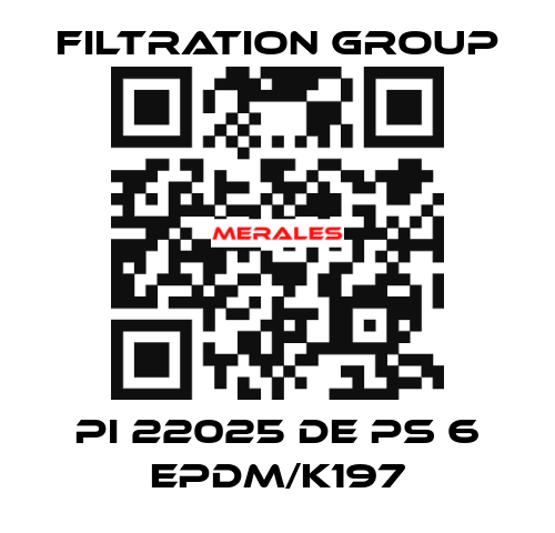 PI 22025 DE PS 6 EPDM/K197 Filtration Group