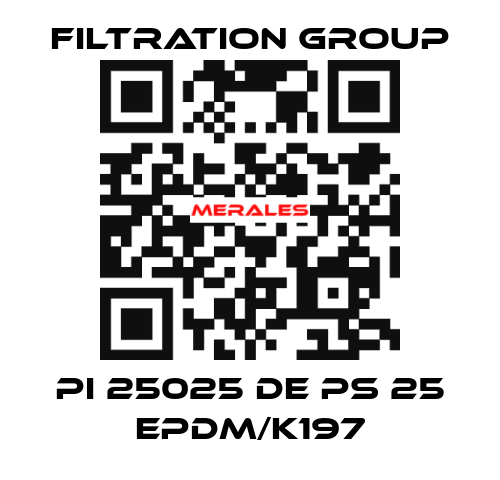 PI 25025 DE PS 25 EPDM/K197 Filtration Group