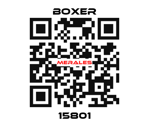 15801 Boxer