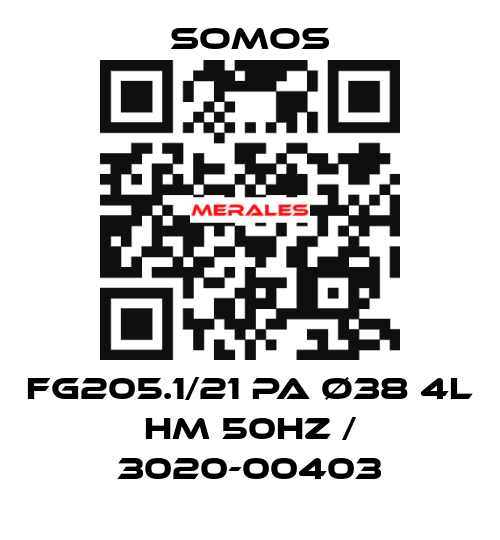 FG205.1/21 PA ø38 4l HM 50Hz / 3020-00403 Somos