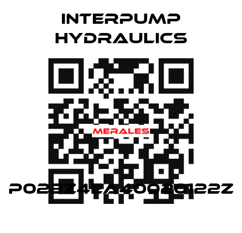 P022Z4EA40020122Z Interpump hydraulics