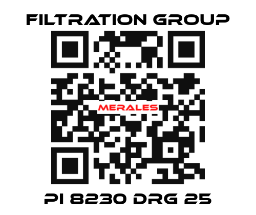 PI 8230 DRG 25 Filtration Group