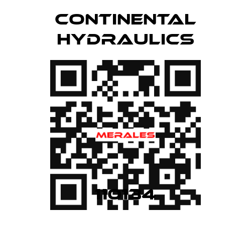 110134 Continental Hydraulics