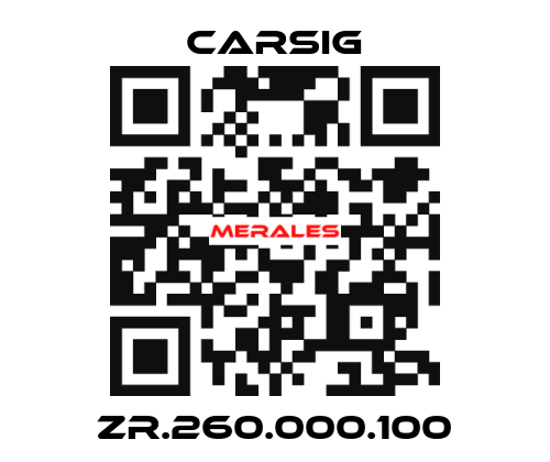 ZR.260.000.100 Carsig