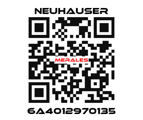 6A4012970135 Neuhauser