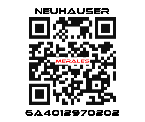 6A4012970202 Neuhauser