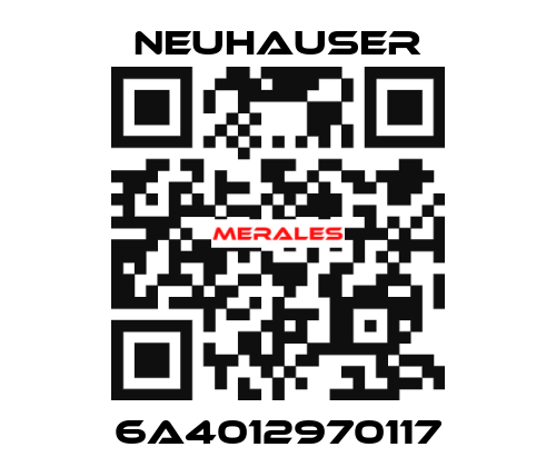 6A4012970117 Neuhauser