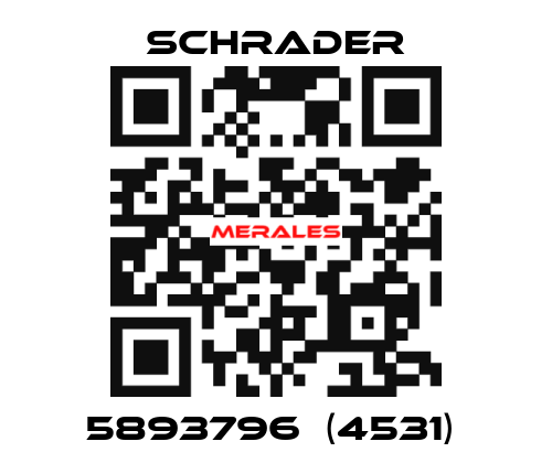 5893796  (4531)  Schrader