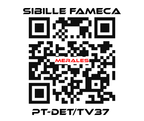 PT-DET/TV37  Sibille Fameca