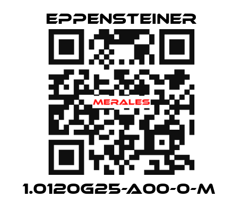 1.0120G25-A00-0-M  Eppensteiner