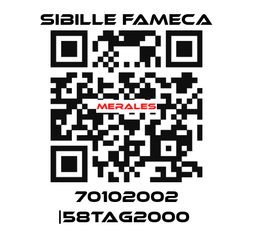 70102002 |58TAG2000  Sibille Fameca