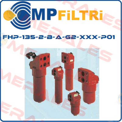 FHP-135-2-B-A-G2-XXX-P01  MP Filtri