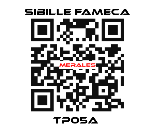 TP05A  Sibille Fameca