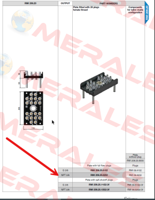 RMI209.20.6202 Staubli