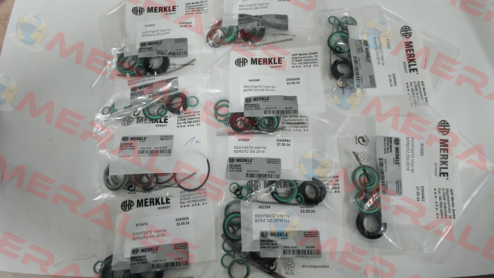 REPAIR KIT FOR BZ 500.25/16.03.201.080.NR33.V Merkle