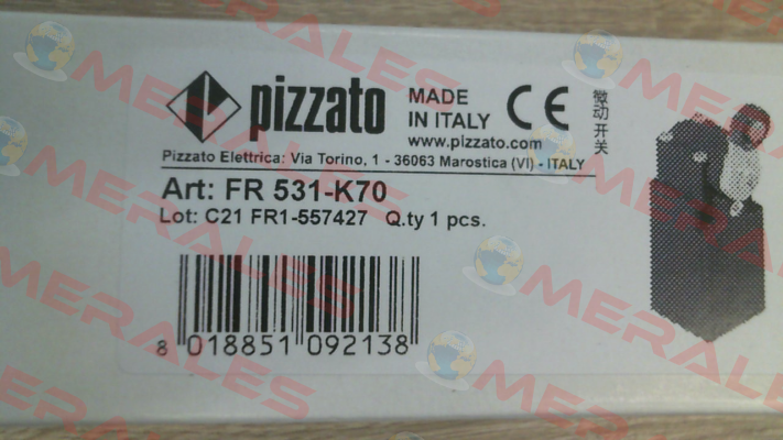 FR 531-K70 Pizzato Elettrica