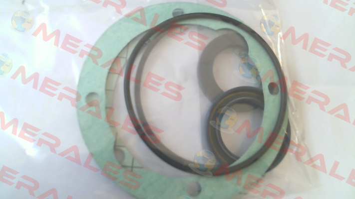 Seal KIT for GR45-SMT16B-180L-RF1 Settima