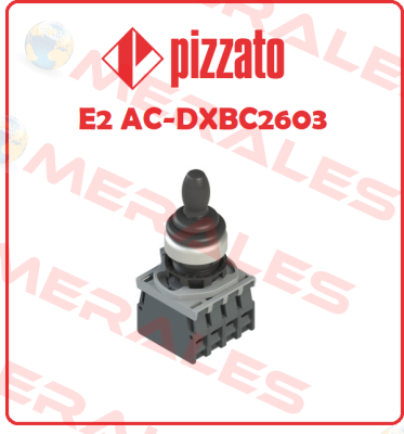 E2 AC-DXBC 2603 Pizzato Elettrica