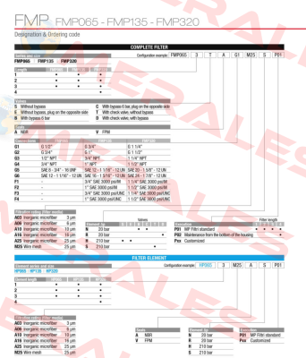 FMP-135-1-B-A-G1-A10-N-P01 MP Filtri