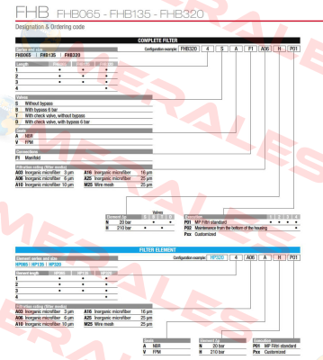 FHB-135-2-S-A-F1-A10-H-P01 MP Filtri