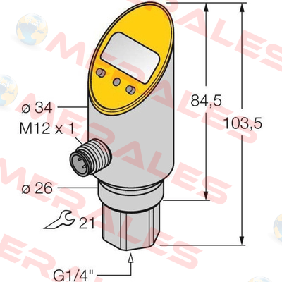 PS025V-301-LUUPN8X-H1141 Turck